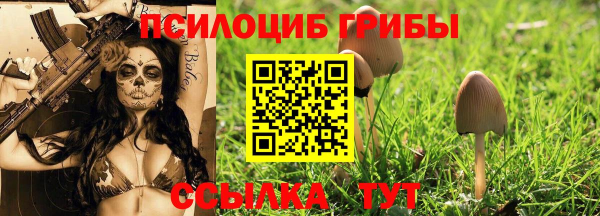 Псилоцибиновые грибы Psilocybe  Вход с VPN  Псилоцибиновые грибы Cubensis  Красногорск 